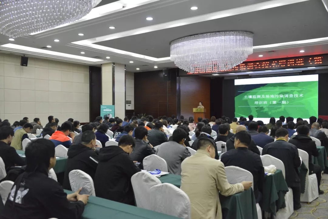 1557281366375042972.jpg 1.webp.jpg